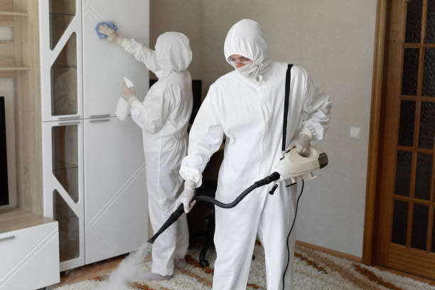 Best Crawl Space Mold Removal  in Montgomery, MN