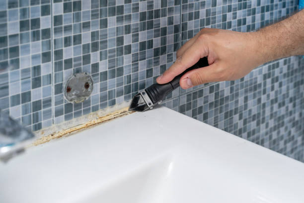 Best Office Mold Removal Services  in Montgomery, MN